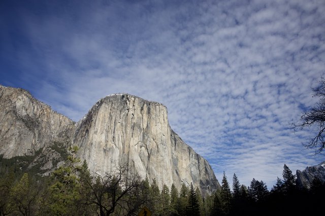 El Capitan Rising Above Yosemite Valley Forest