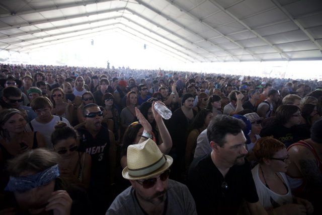 Coachella 2012 Crowd Frenzy