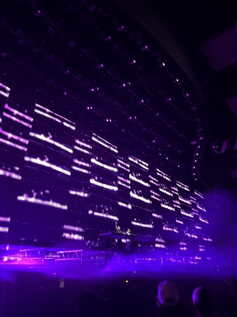 Electric Night Vibes