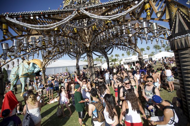 The Vibe of the Crowd at Coachella's Music Festival