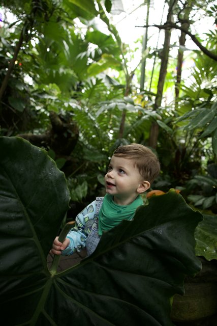 Little Explorer in the Heart of the Jungle