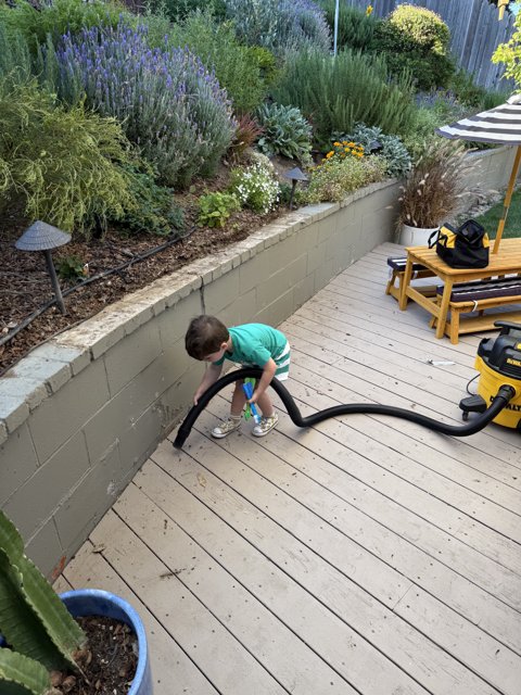 Little Gardener at Work