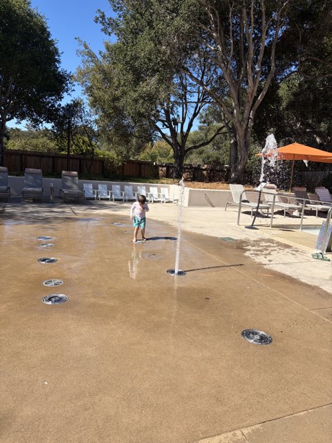 Splashes of Joy