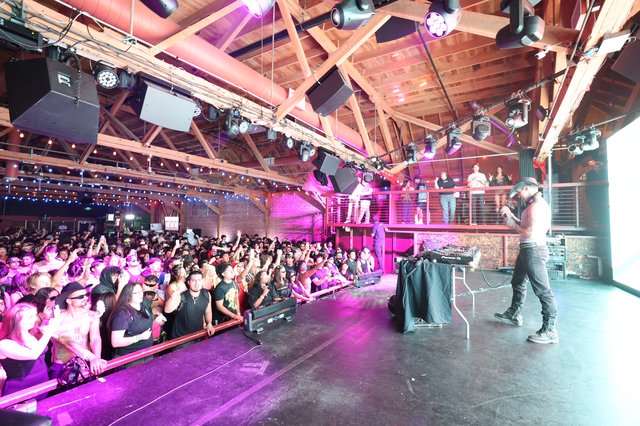 DJ Performs Live at Packed Wobbleland 2026 Show
