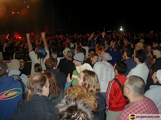 The Ultimate Crowd Experience at Coachella 2002