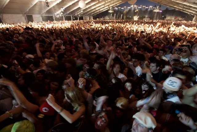 Coachella 2009 Concert Crowd Goes Wild