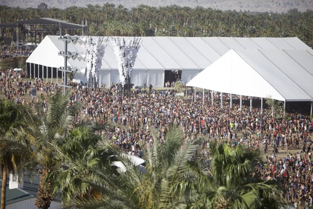 Coachella 2014: The Ultimate Crowd Experience