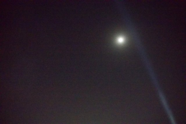 Lunar Spotlight at Coachella 2024