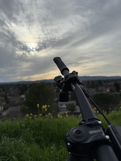 Skyward Glance at Lime Ridge