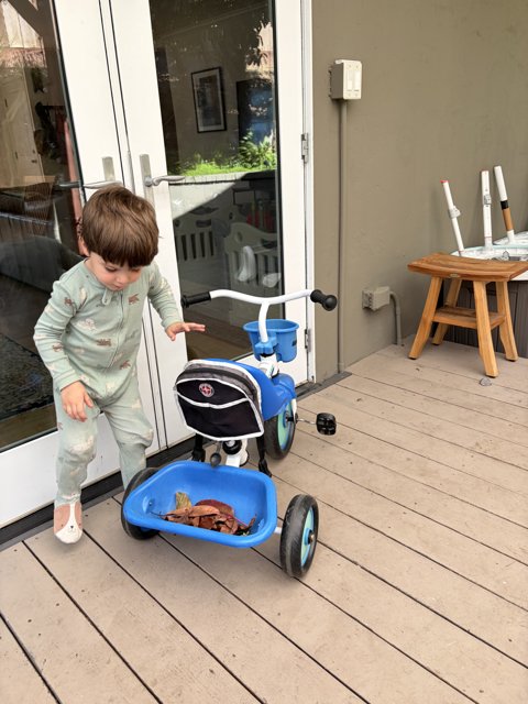 Autumn Adventures on Wheels