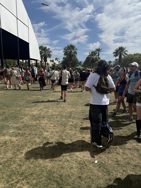 Strolling Through the Festival