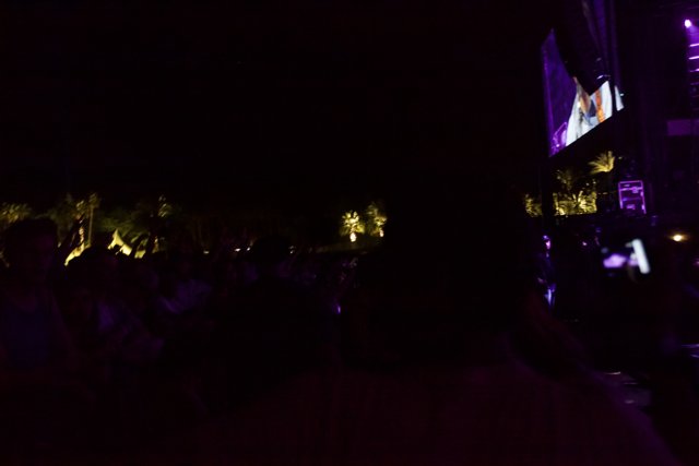 Nighttime Concert Crowd Silhouette