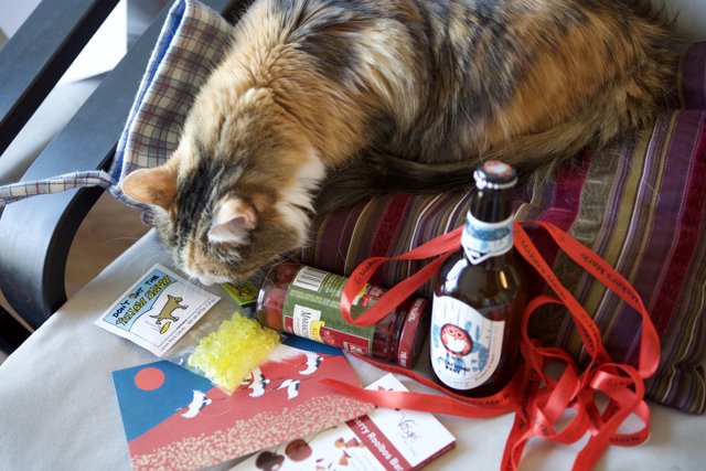 Lazy Christmas with the Cat and Beer