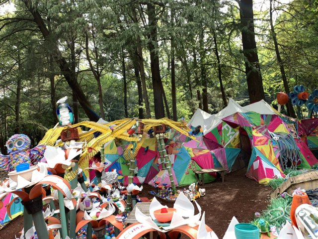 Colorful Tents in the Woodland
