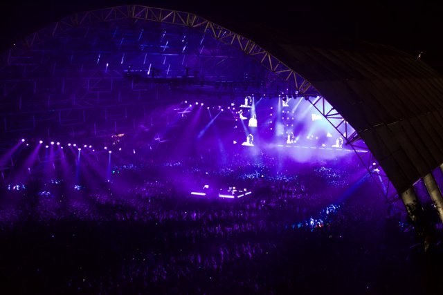 Purple Haze on the Big Stage
