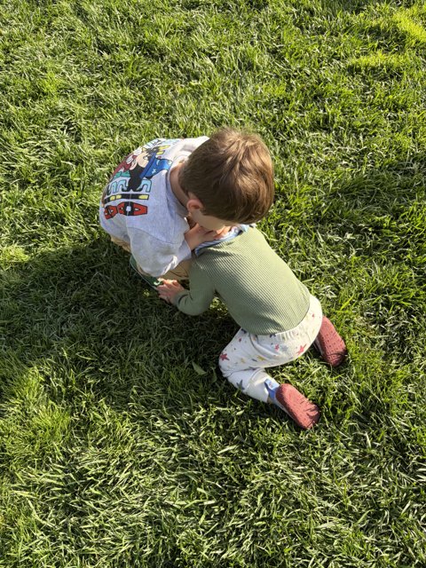 Little Explorer's Moment