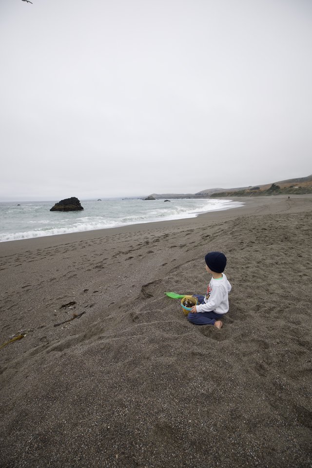 Child Gazes at the Pacific on a Misty Beach Day