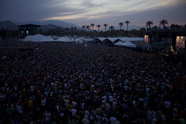 Coachella's Eclectic Audience