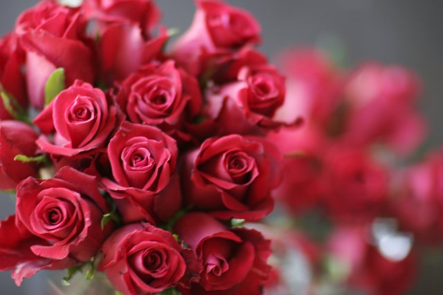 A Bouquet of 11 Red Roses