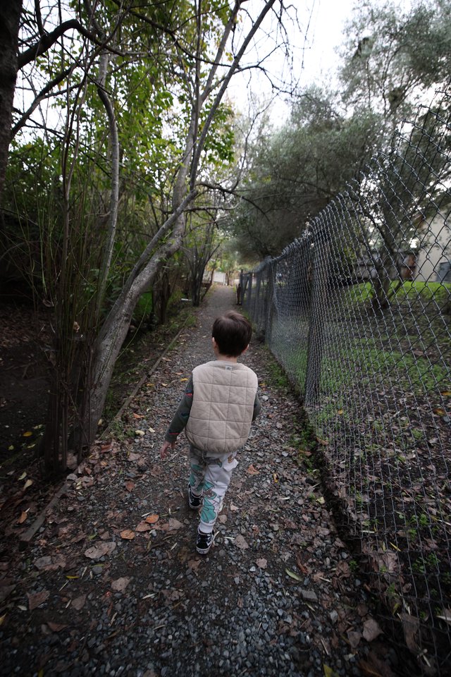 Young Child Walking Alone on Gravel Path