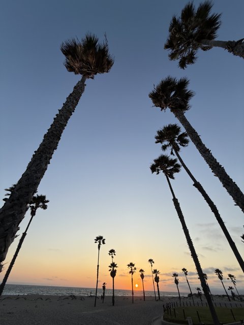 Evening Tranquility: Sunset at Oxnard Beach