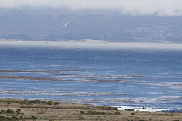 Coastal Serenity in Cayucos