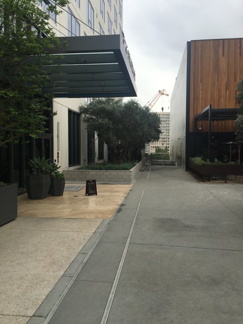 City Sidewalk with Office Building in the Background