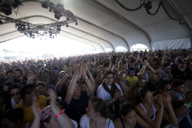 Electrifying Crowd at Coachella 2009