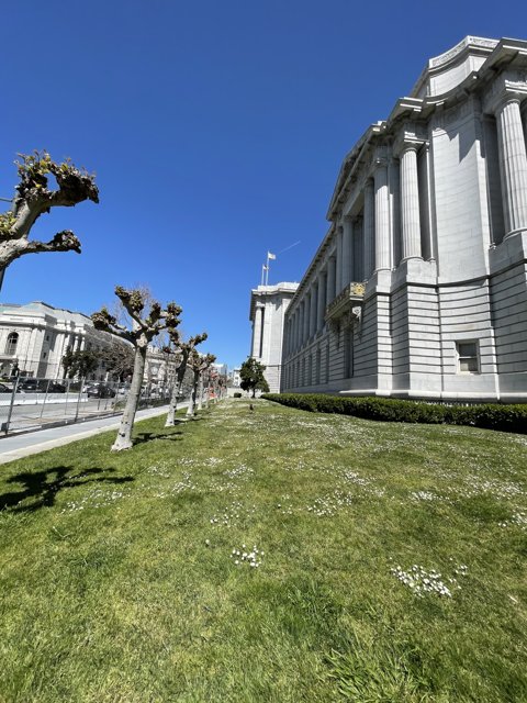 San Francisco City Hall in the Bright Light of Day