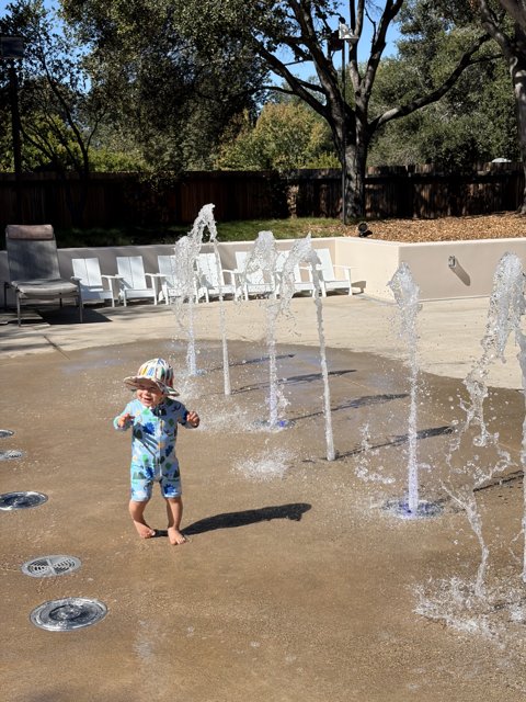 Joyful Splash in Carmel