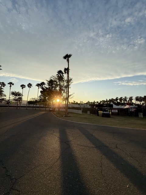 Dusk at the Polo Grounds