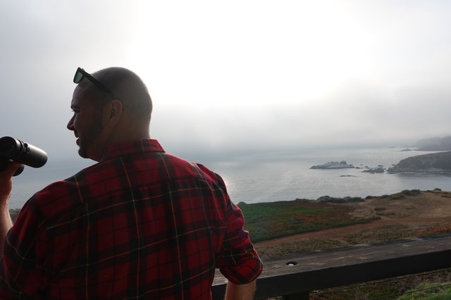 Coastal Observer with Binoculars at Scenic Overlook