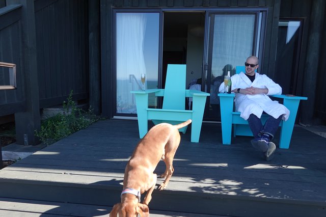 Man Relaxing with Dog on Modern Deck