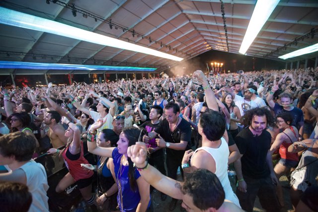 Coachella 2012: Hands up for the Show