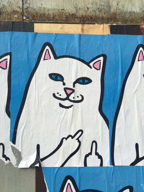 The Four Feline Graffiti
