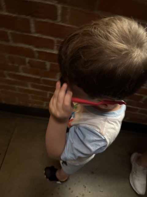 Little Adventurer at Disney