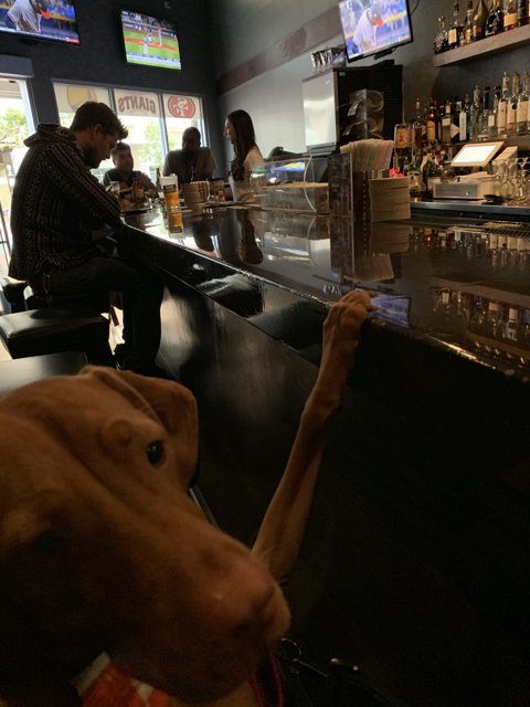 Bartender's Best Friend