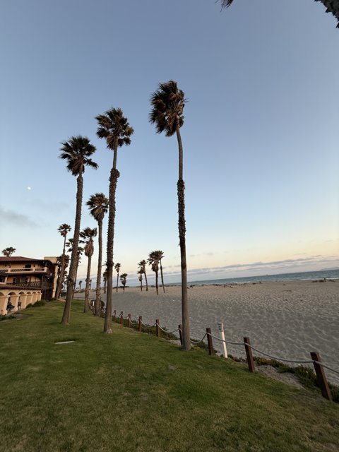 Serenity by the Shore