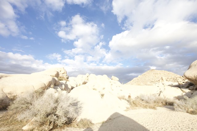 Desert Landscape with Rocks and Shrubs