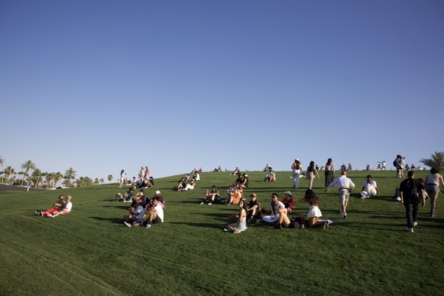 Chilled Vibes at Coachella 2024: A Sunny Afternoon on the Green