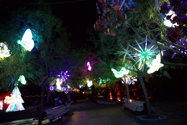 Enchanted Night at Glowfari Oakland Zoo