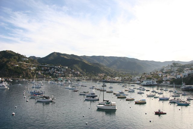 Serene Harbor View