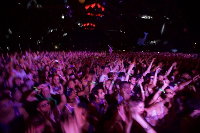 Energized Audience at Coachella Concert