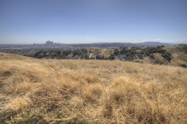 Serene City View from Grassy Hill