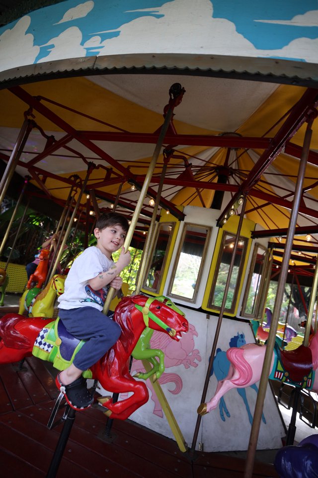 Young Boy Enjoying a Carousel Ride in Fantasyland