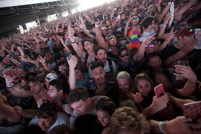 Coachella's Electrifying Crowd