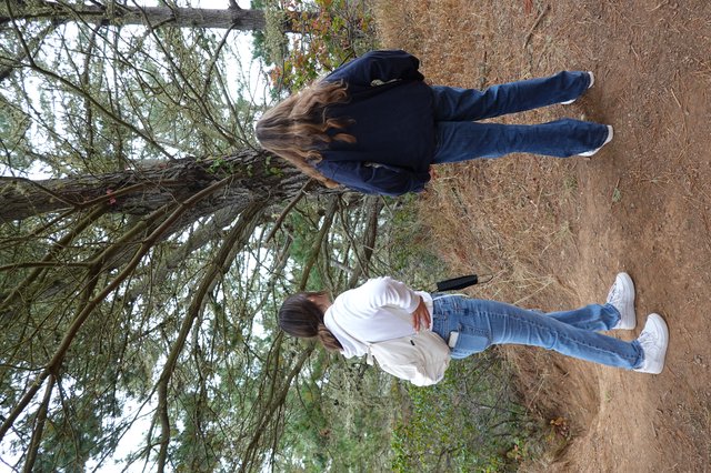 Two Friends Exploring Nature Trail Together