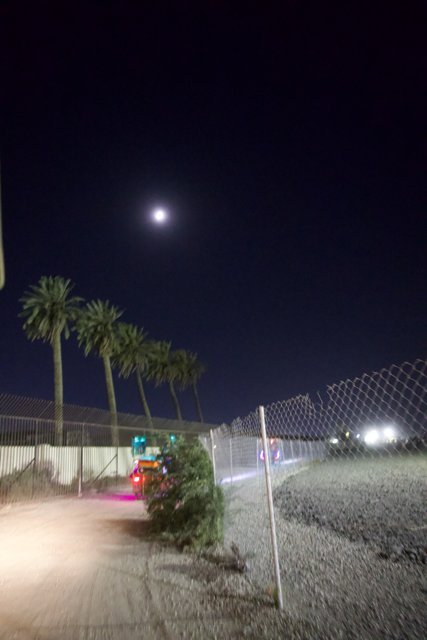 Midnight Oasis: A Lunar Serenade at Coachella 2024