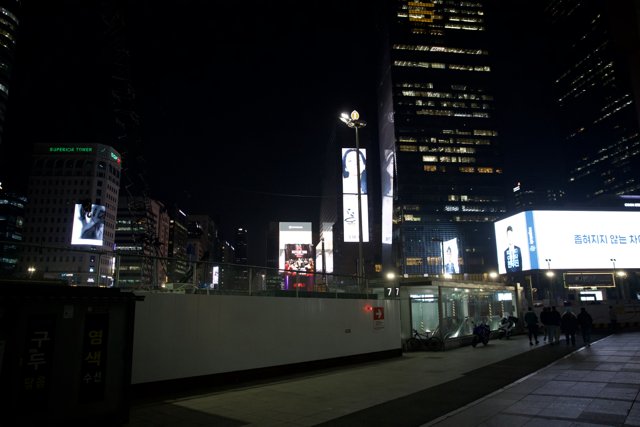 Illuminated Metropolis: Korea's Heartbeat at Night