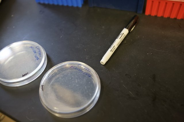 Marking Tools for Yeast Experiment